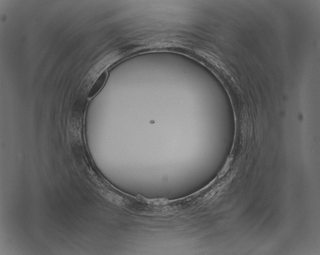 X0000077281273200611031516