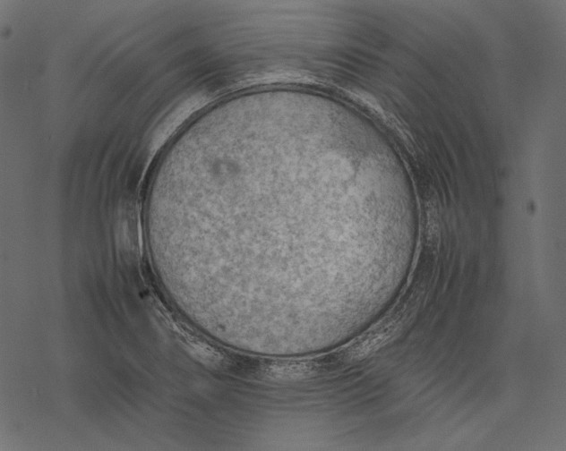 X0000077281274200611031516