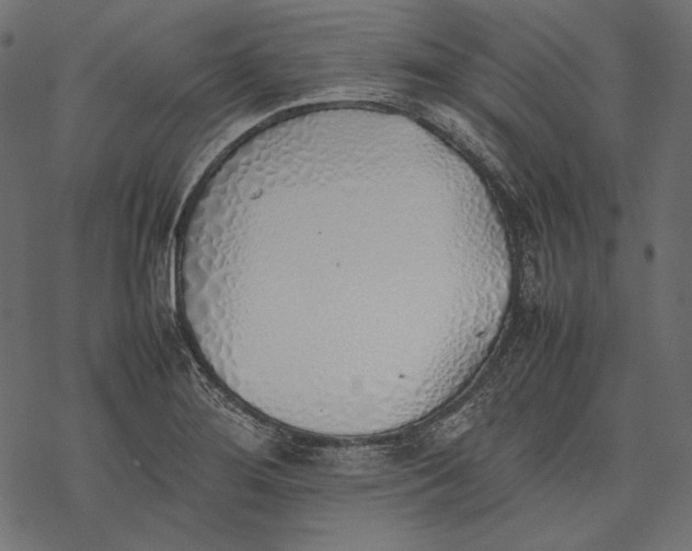 X0000077281276200611031516