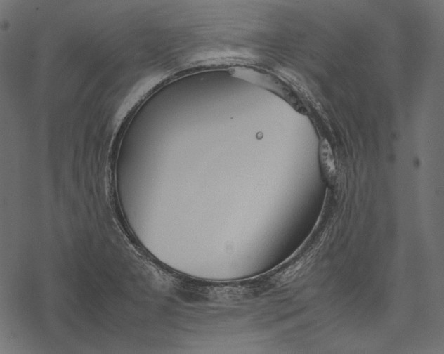 X0000077281277200611031516