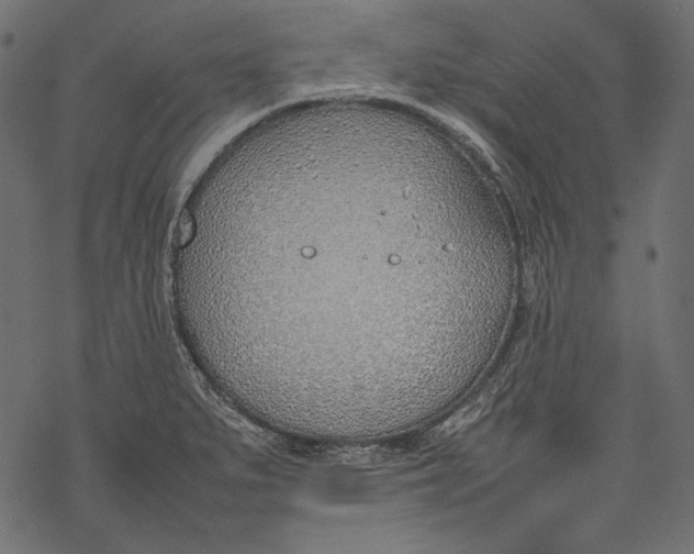 X0000077281279200611031516