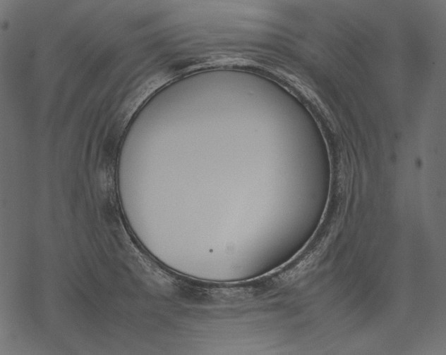 X0000077281281200611031516