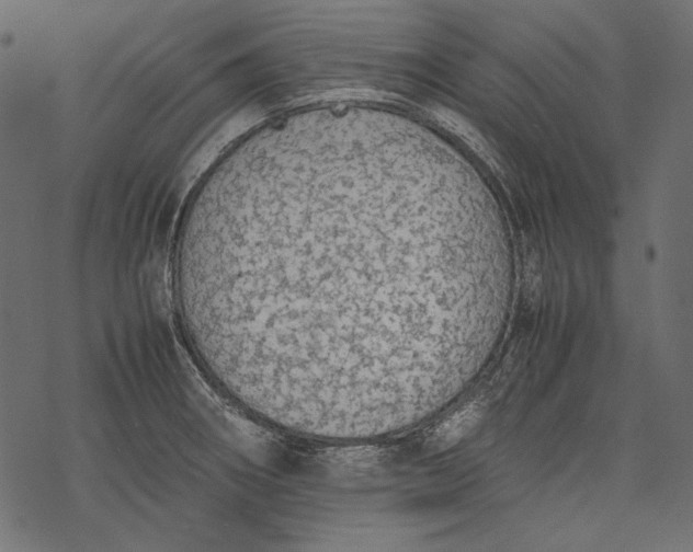 X0000077281282200611031516