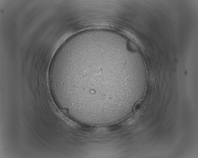 X0000077281283200611031516