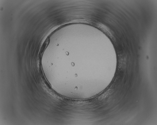 X0000077281284200611031516