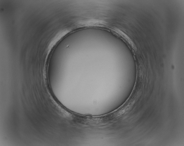 X0000077281285200611031516