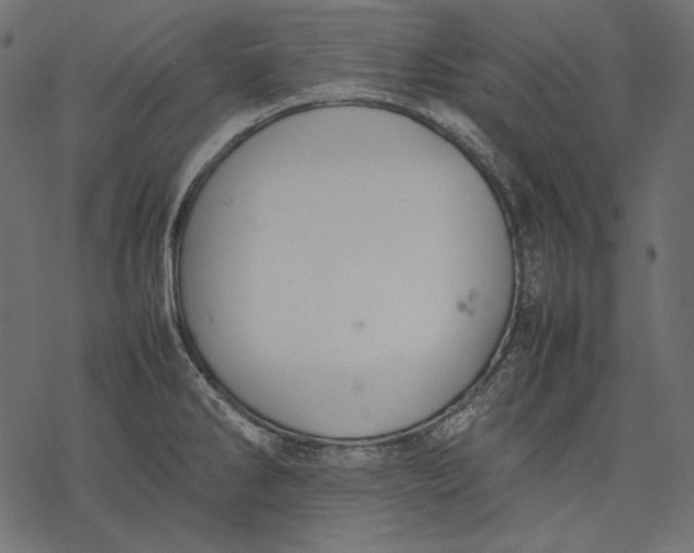 X0000077281286200611031516