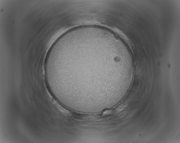 X0000077281287200611031516