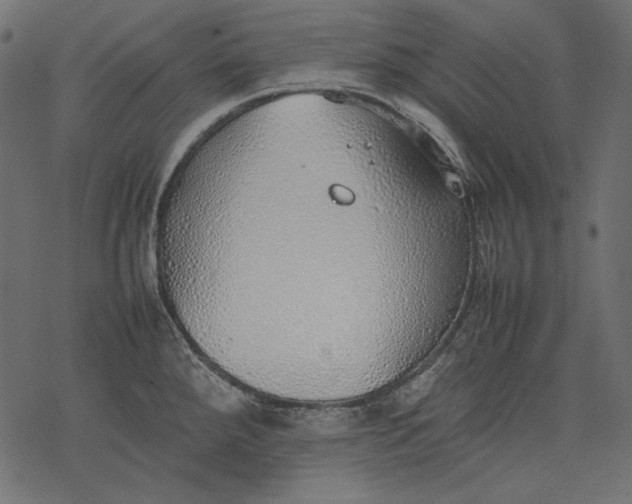 X0000077281288200611031516