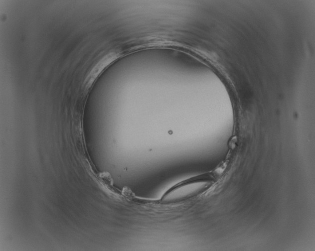 X0000077281289200611031516