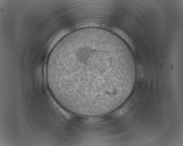 X0000077281290200611031516