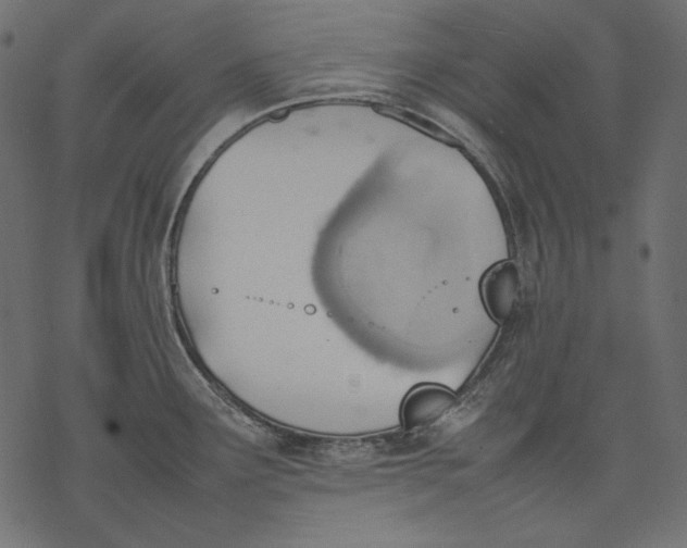 X0000077281291200611031516