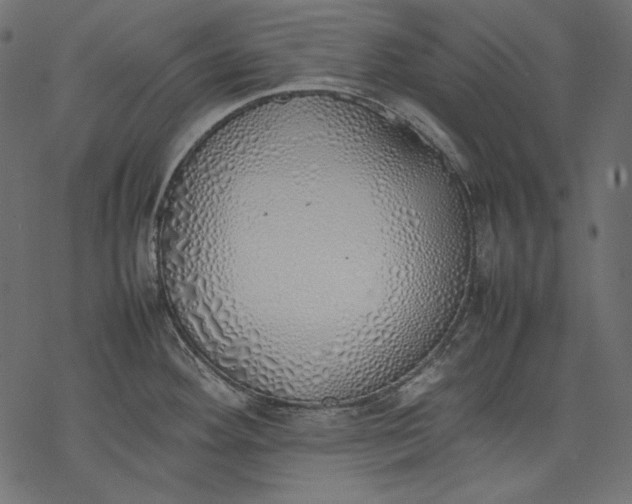 X0000077281292200611031516