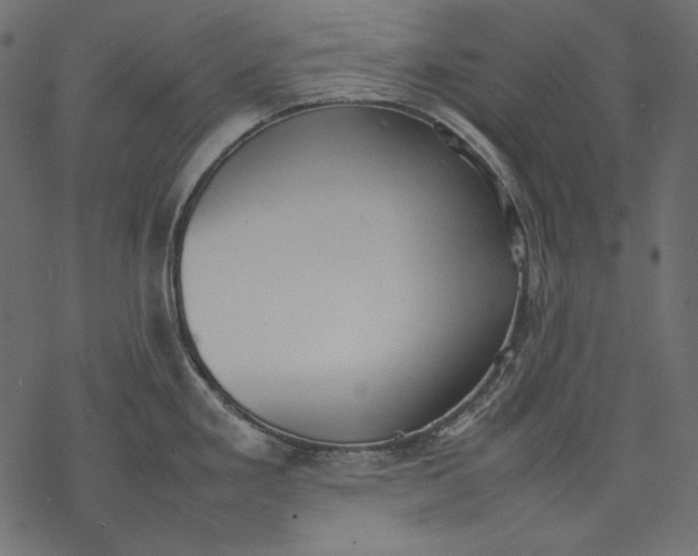 X0000077281293200611031516