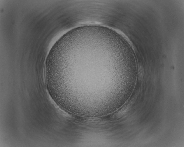 X0000077281295200611031516