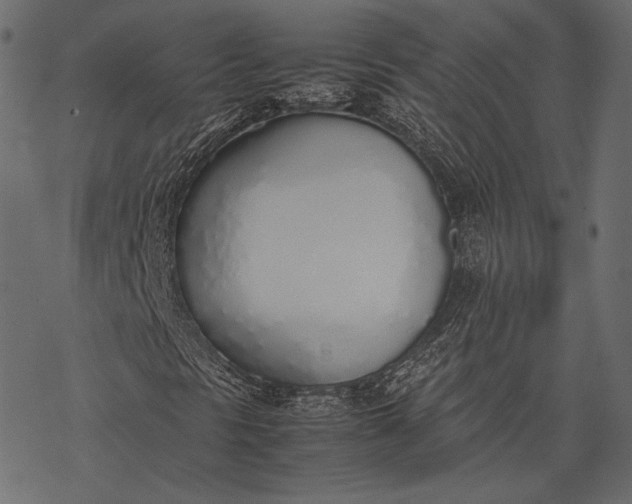 X0000077281297200611031515