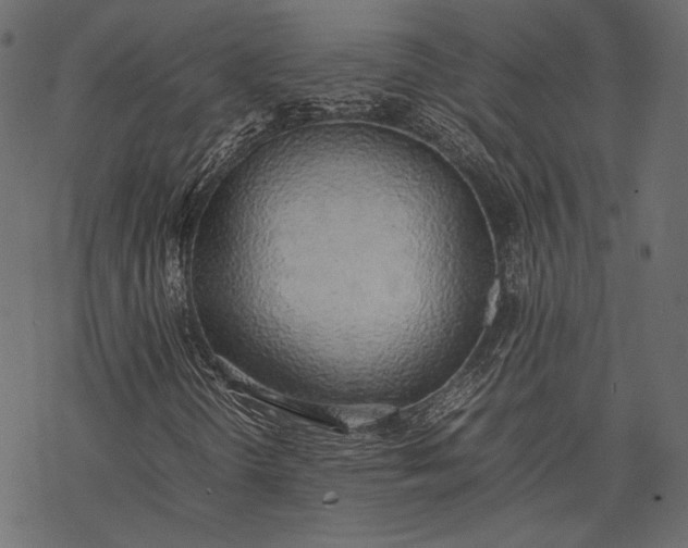 X0000077281298200611031515