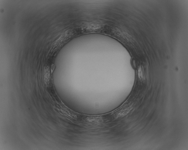 X0000077281299200611031515