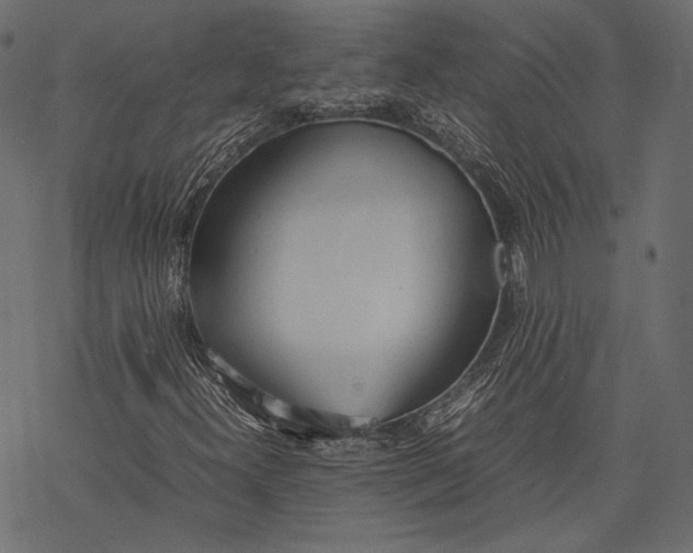 X0000077281300200611031515