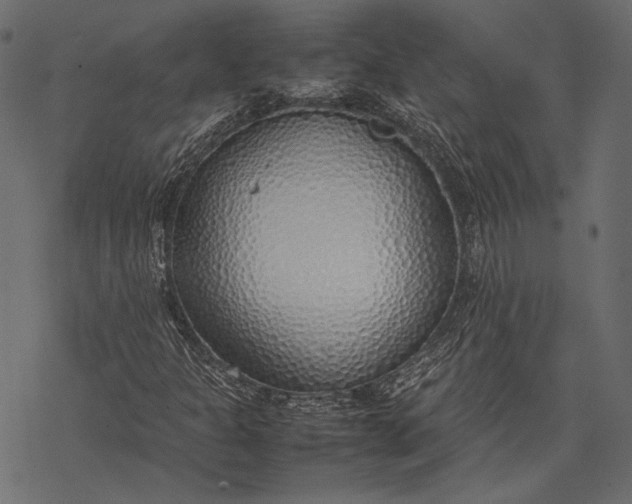 X0000077281301200611031515