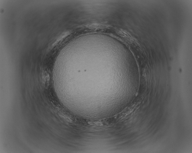 X0000077281302200611031515