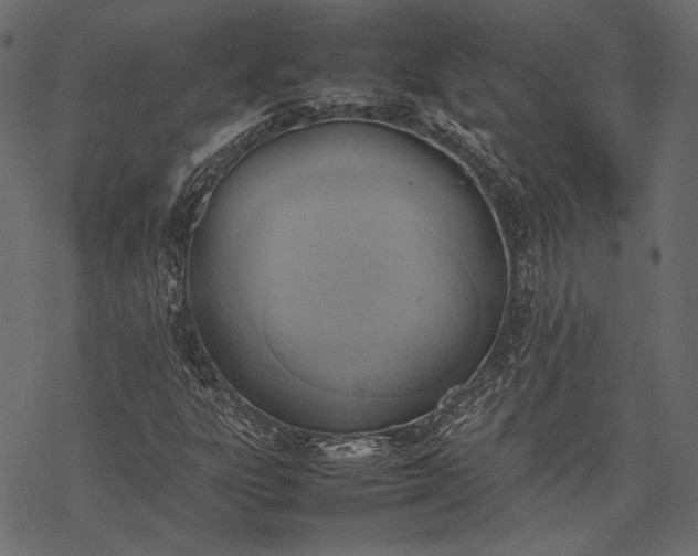 X0000077281303200611031515