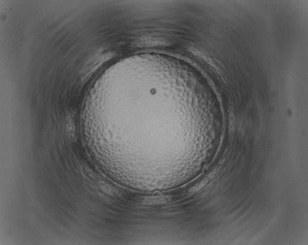 X0000077281305200611031515