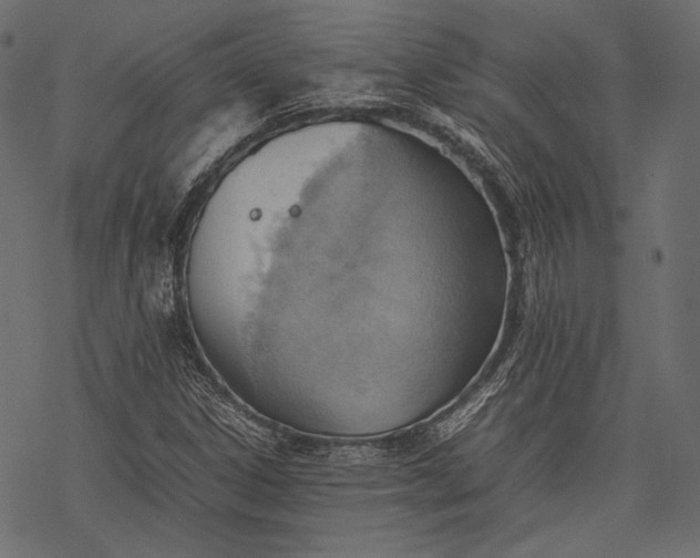 X0000077281306200611031515