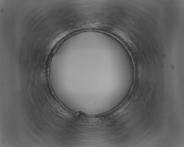 X0000077281308200611031515