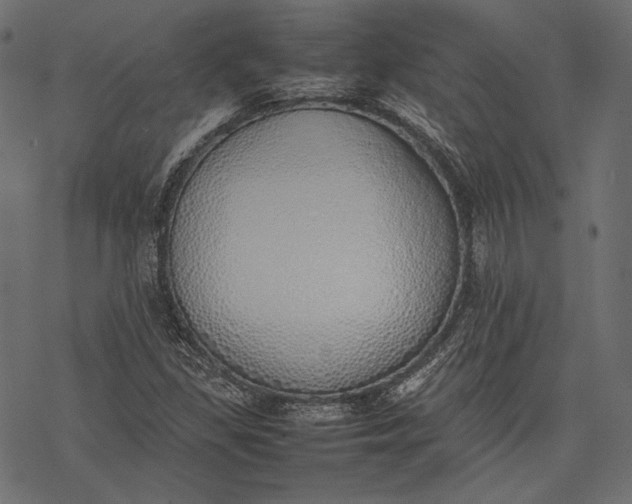 X0000077281309200611031515