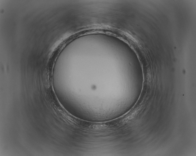 X0000077281310200611031515