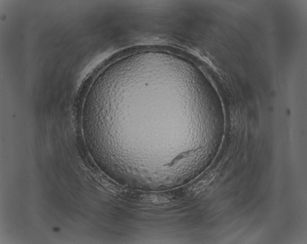 X0000077281311200611031515