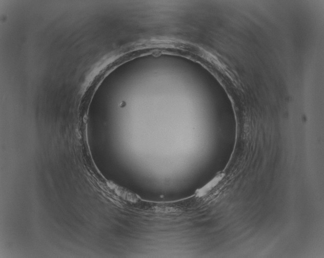 X0000077281312200611031515