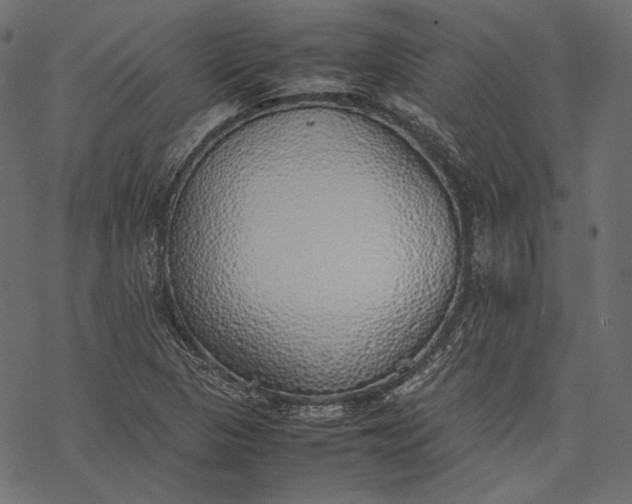 X0000077281313200611031515