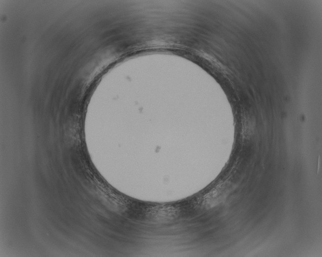 X0000077281314200611031515