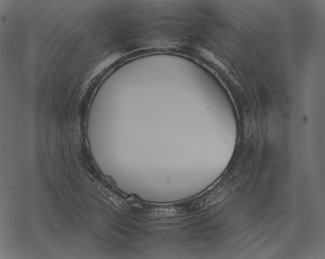 X0000077281315200611031515