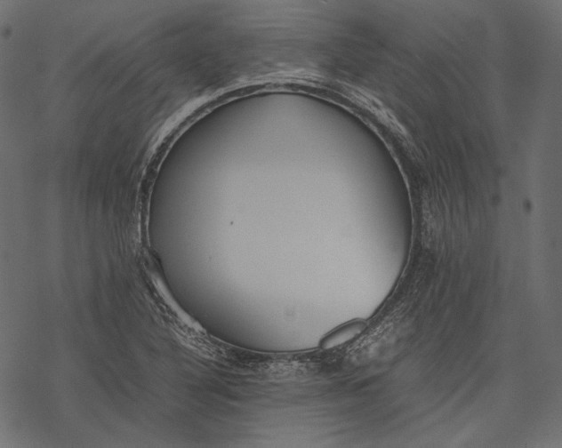 X0000077281316200611031515