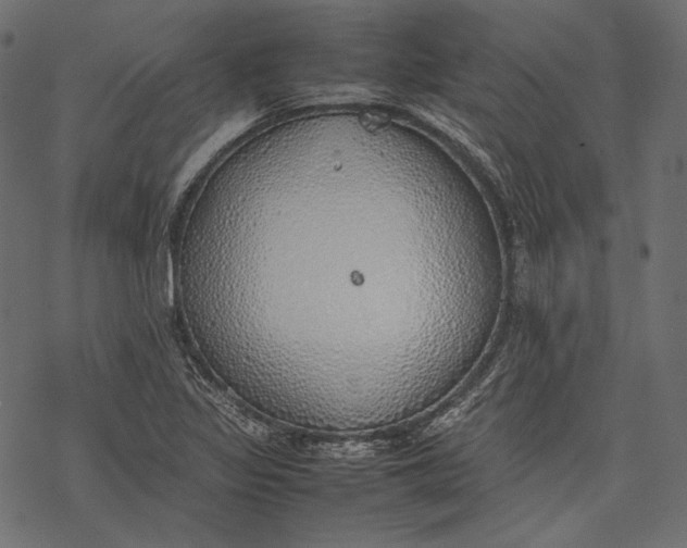 X0000077281317200611031515