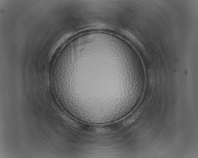 X0000077281318200611031515