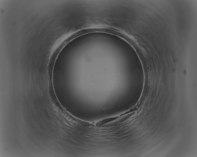 X0000077281319200611031515