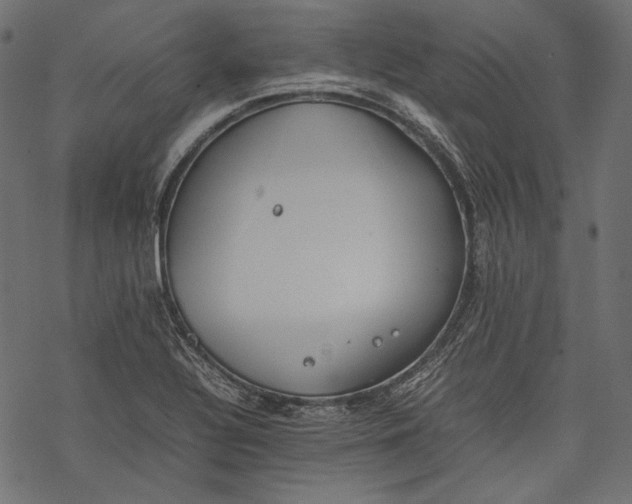 X0000077281320200611031515