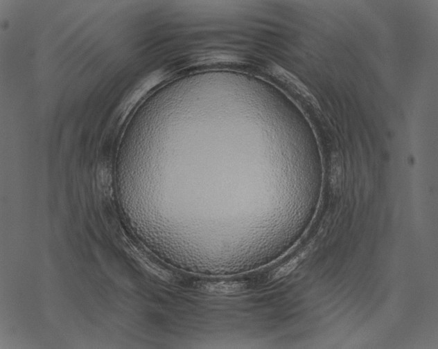 X0000077281321200611031515