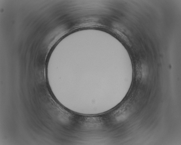 X0000077281322200611031515