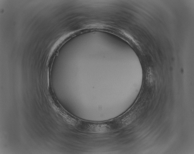 X0000077281323200611031515