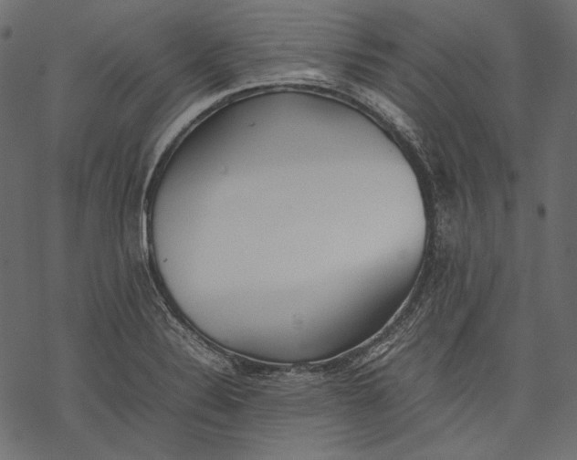 X0000077281324200611031515