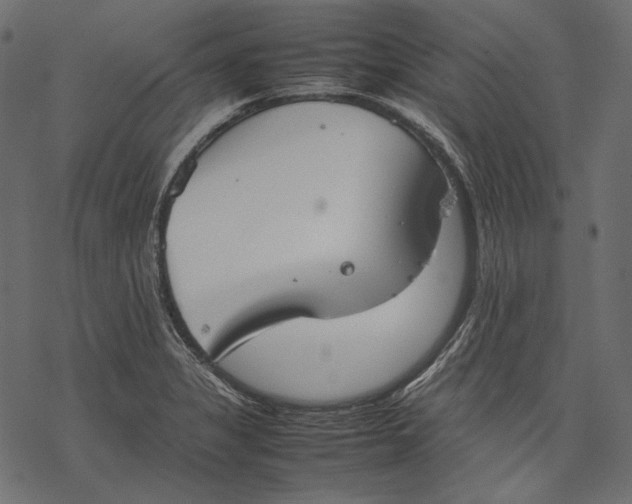 X0000077281325200611031515