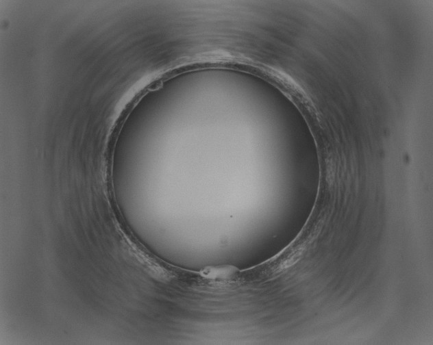 X0000077281326200611031515