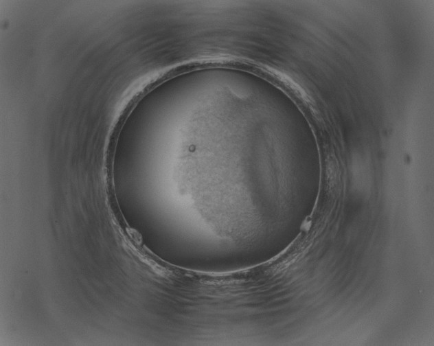 X0000077281327200611031515