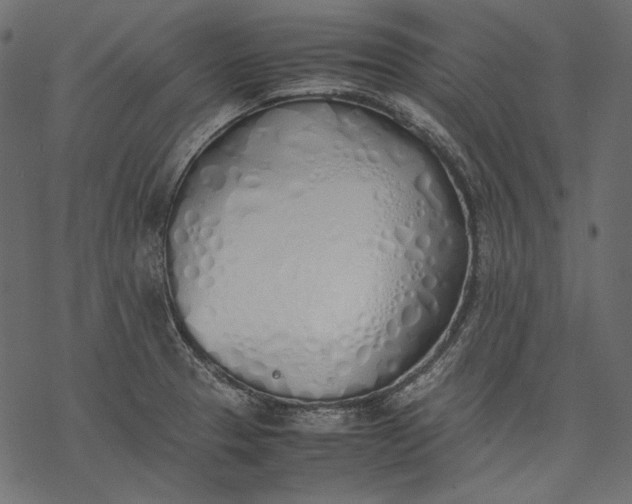 X0000077281329200611031515