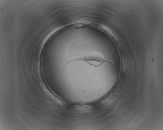 X0000077281331200611031515